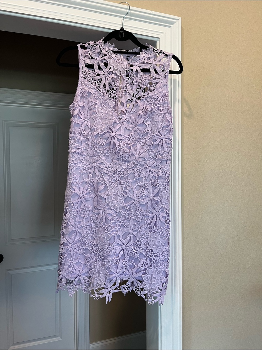 Main Strip Lavender Lace Mini Dress